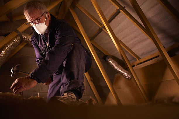 Best Insulation Maintenance and Repair in Healdsburg, CA